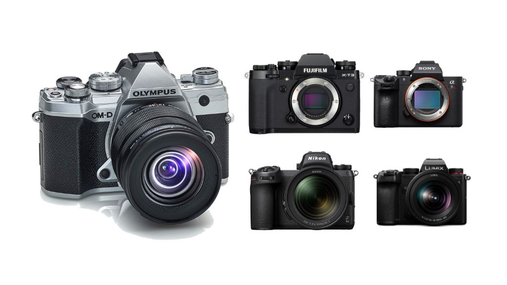 Best-Mirrorless-Camera-Brands