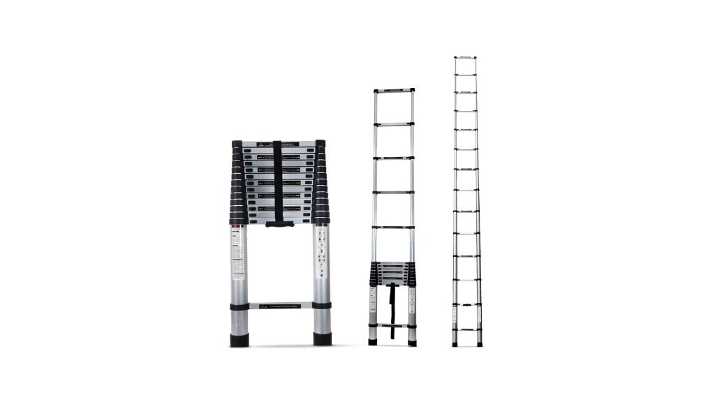 Corvids-Ladder