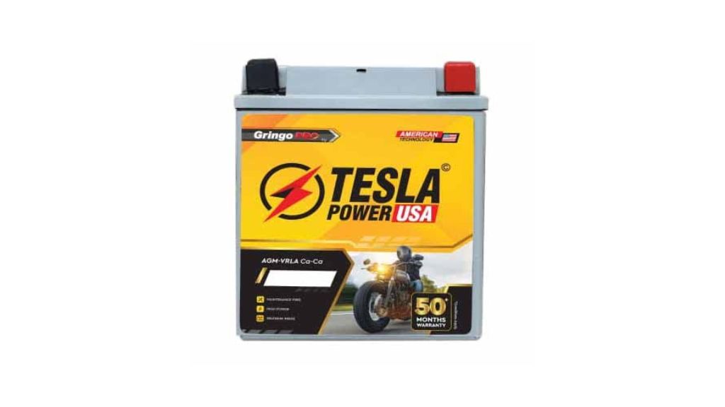 TESLA POWER Bike Battery