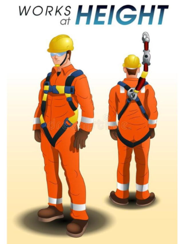 Top 8 Safety Harness In India (February 2024) | Lnlisting