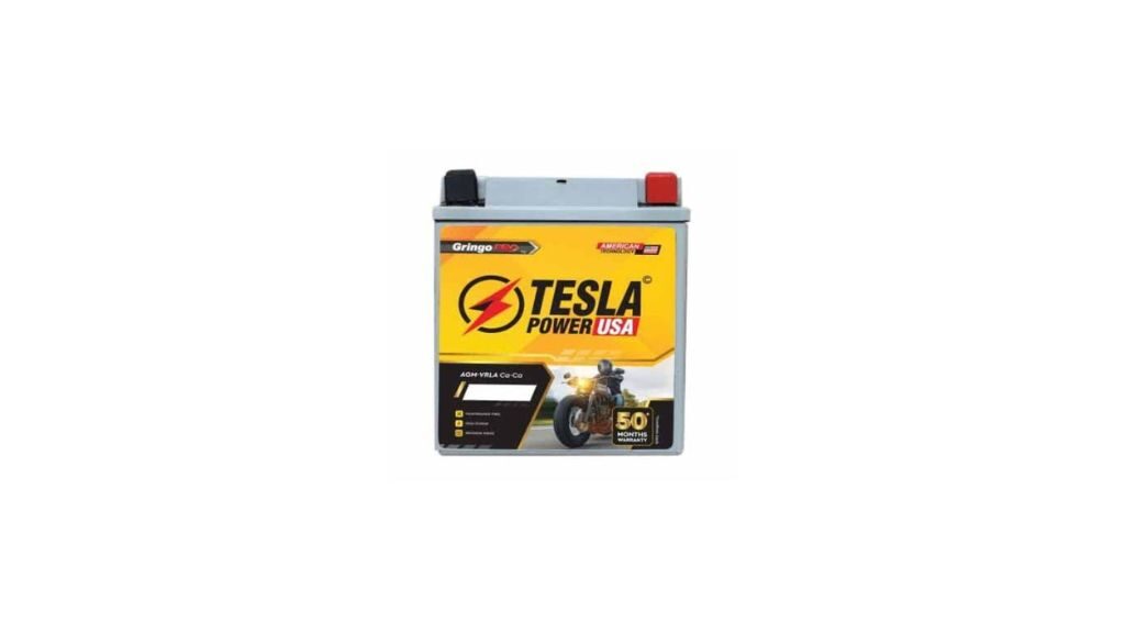 TESLA-POWER-Bike-Battery